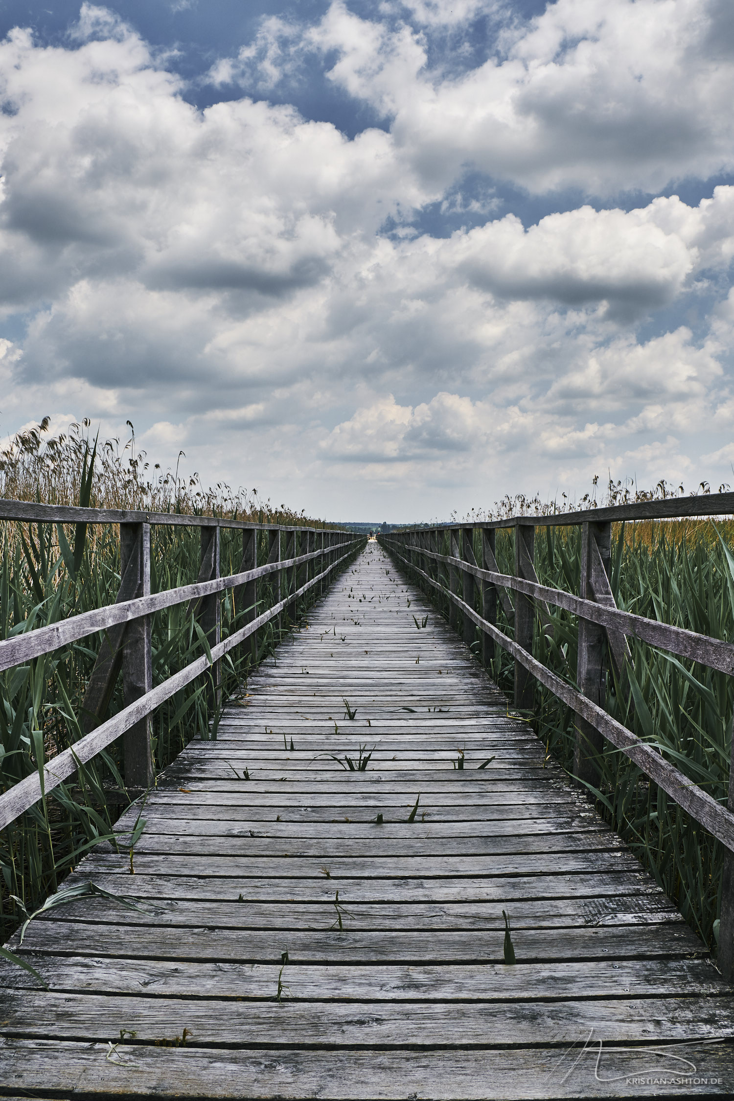 UNESCO Weltkulturerbe Federsee